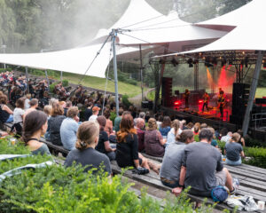 Festival Logo Roosje Live in het Park