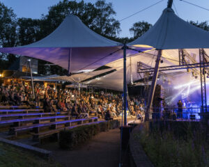 Festival Logo Roosje Live in het Park