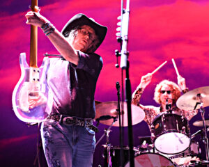 Festival Logo The Waterboys