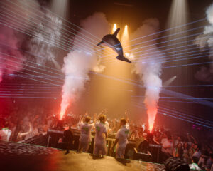 Festival Logo Trance boyband Superstrings naar uitverkochte Vasim