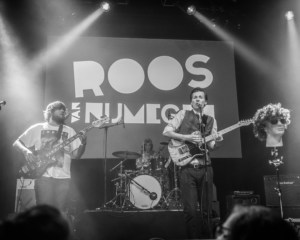 Festival Logo De Roos van Nijmegen