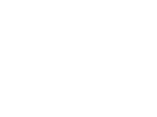 Festival Logo De Roos van Nijmegen