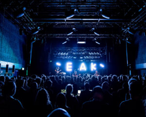 Festival Logo BEAK>