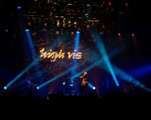 Festival Logo High Vis + Narrow Head