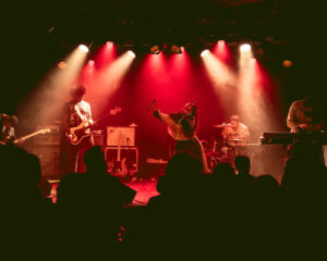 Festival Logo Pure Adult + Cassels