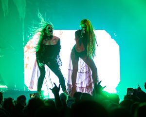 Festival Logo Infected Rain + Butcher Babies