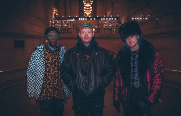 Afbeelding voor Too Many Zooz